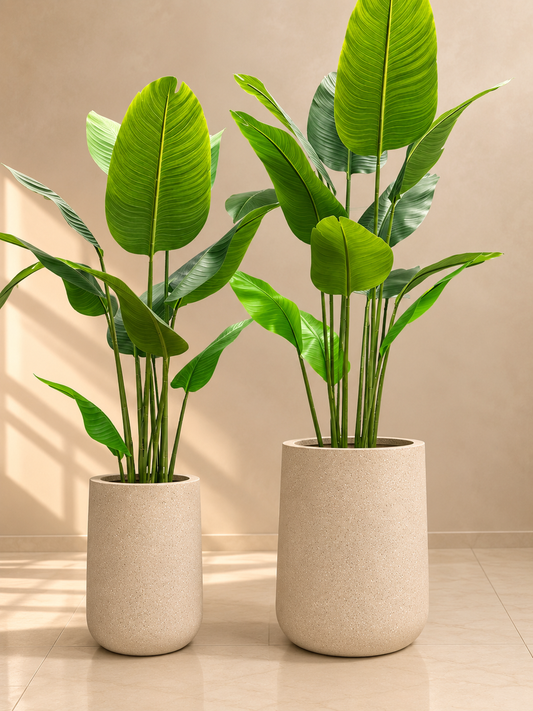 Beautiful pair of modern cylindrical planters.